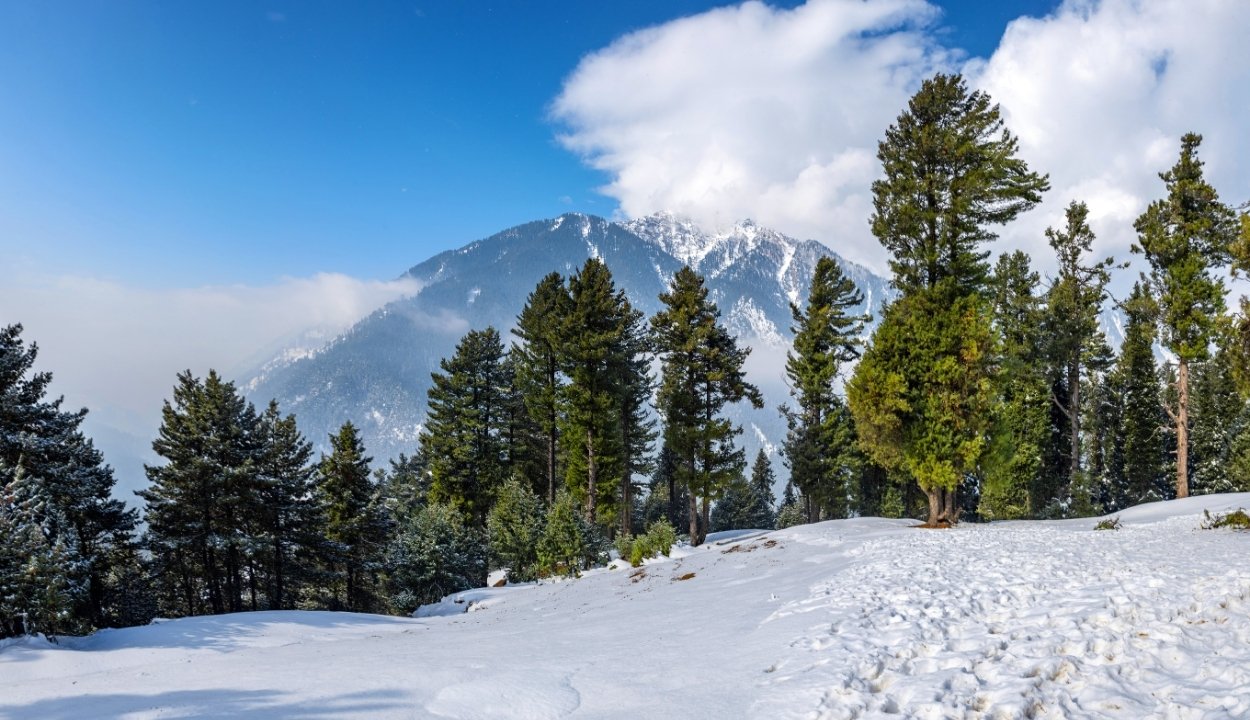 Kashmir Tour Package